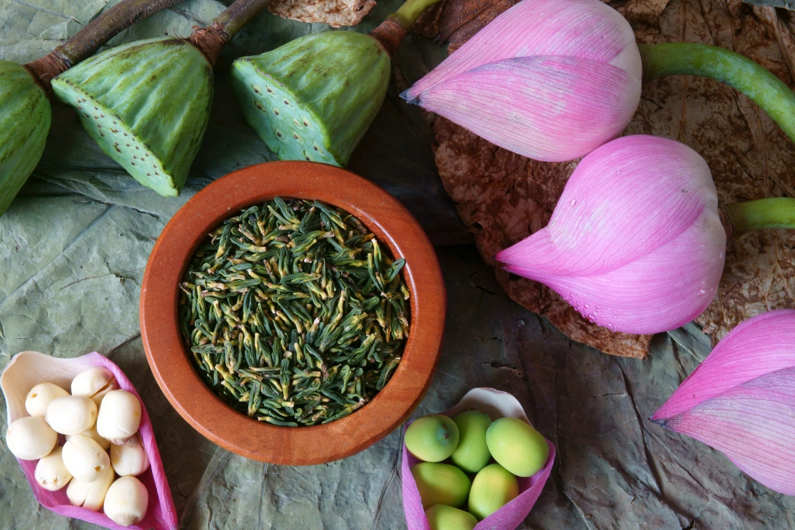Lotus Tea-A-Delicacy-Of-Summer