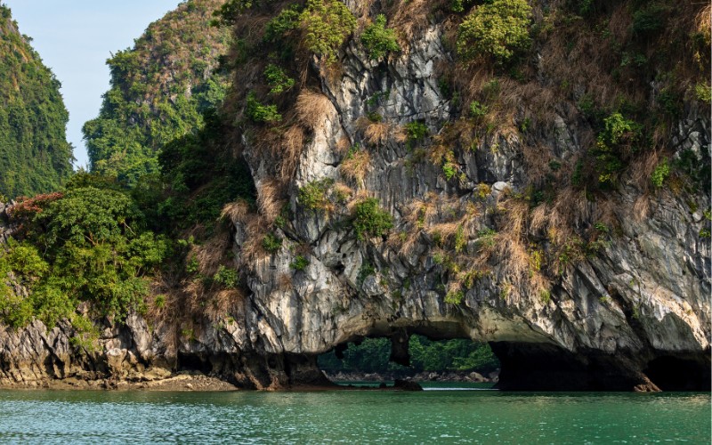 caves-in-vietnam-7-luon-cave