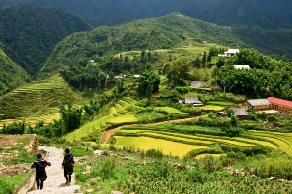 Hiking In Sapa: Best Time, Planning, Treks and Trails