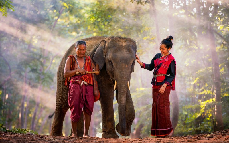 thailand-elephant-sanctuary-2