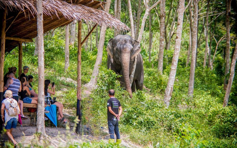 thailand-elephant-sanctuary-6