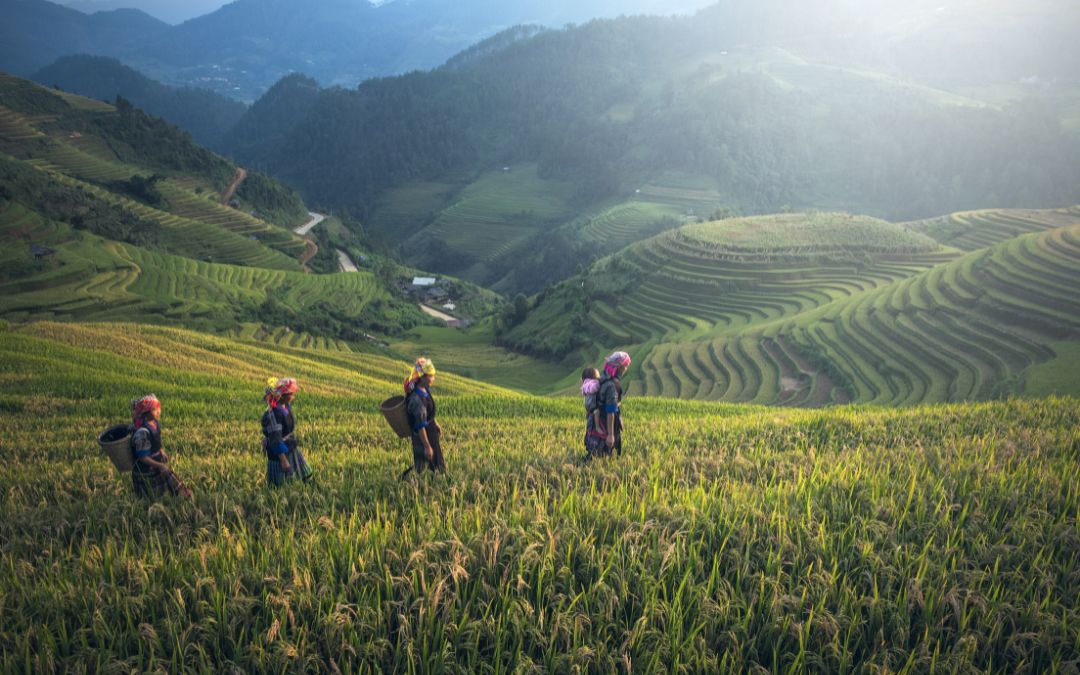accommodation-in-sapa-6
