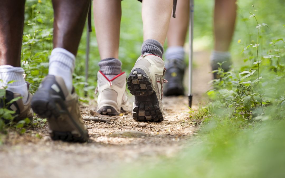 sapa-trekking-routes-2