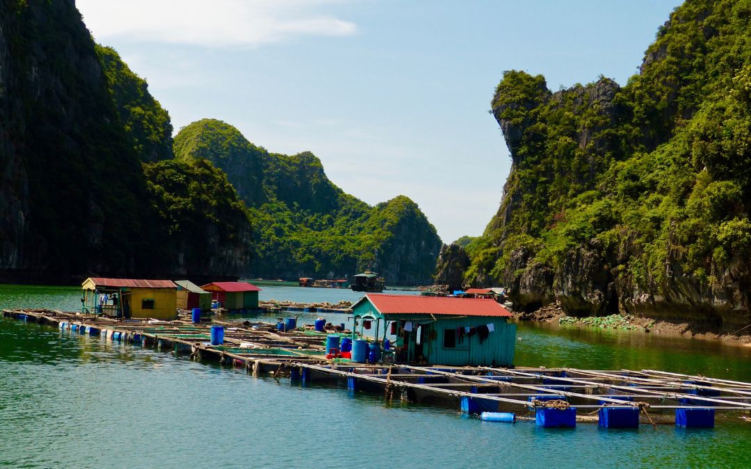 things-to-do-in-halong-bay-5