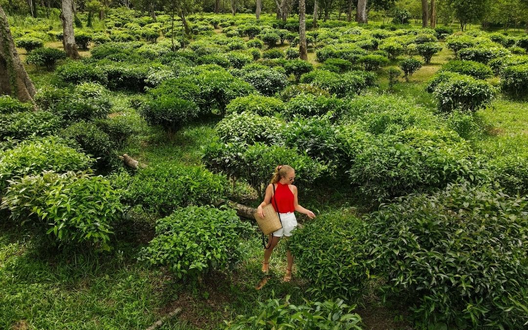 thailand-all-inclusive-with-flight-6