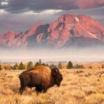 default-avatar-2020-64