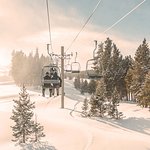 default-avatar-2020-34