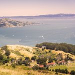 default-avatar-2020-35