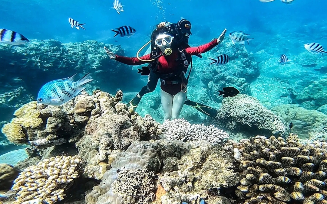 vietnam-island-3