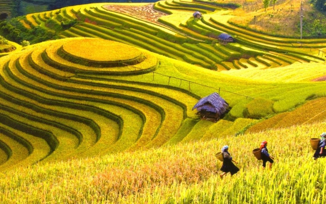 north-vietnam-itinerary-7-days-5