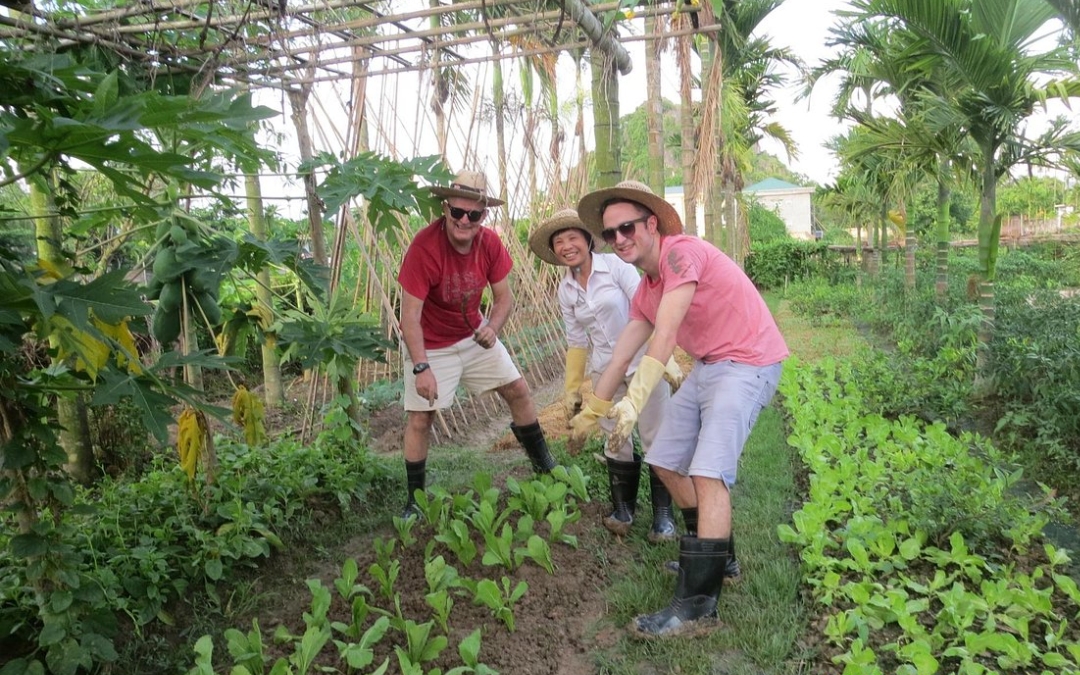 north-vietnam-itinerary-7-days-7