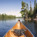 default-avatar-2020-38