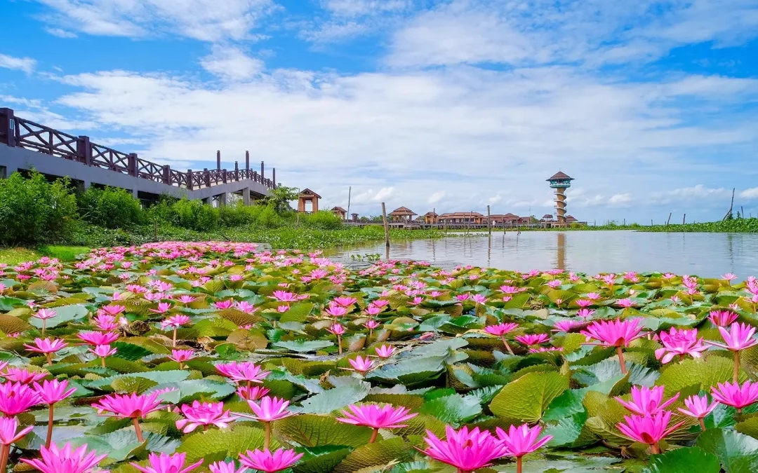 destination-in-thailand-for-tourism-5