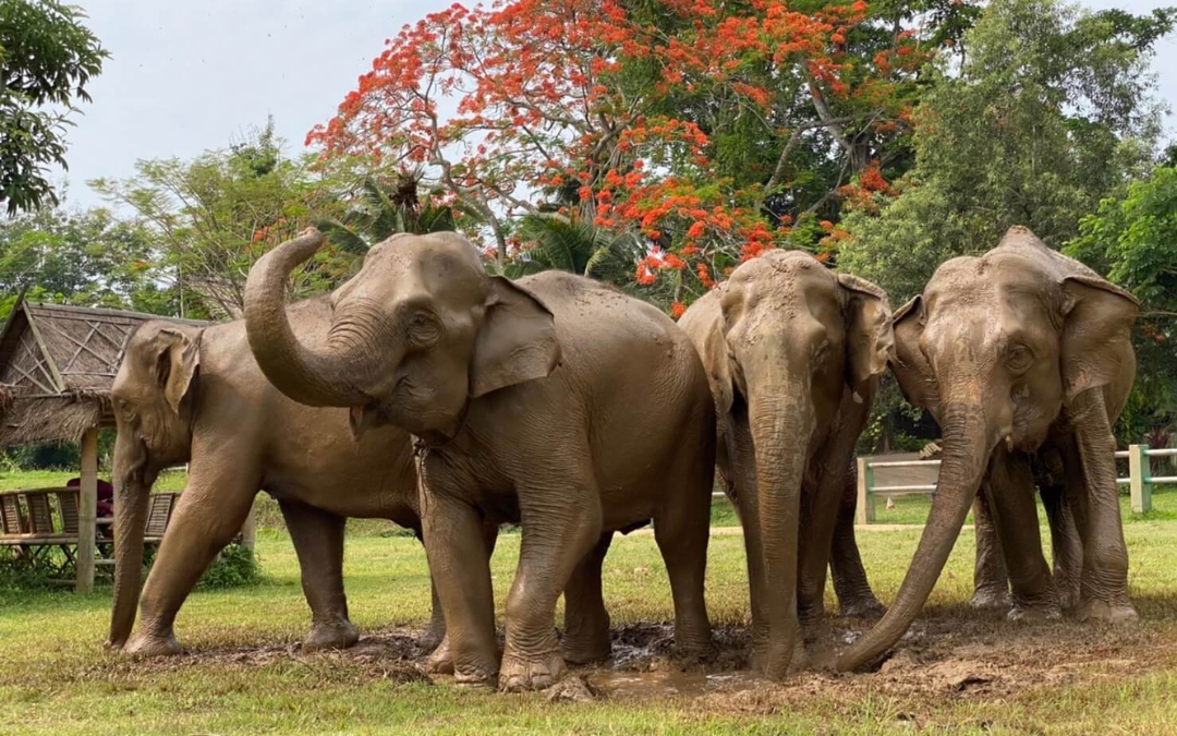 thailand-8-day-itinerary-10