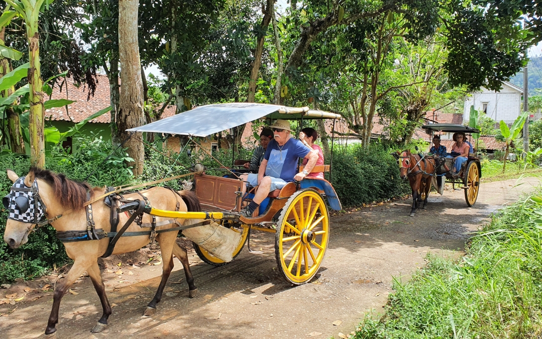 what-to-do-in-bali-for-7-days-6