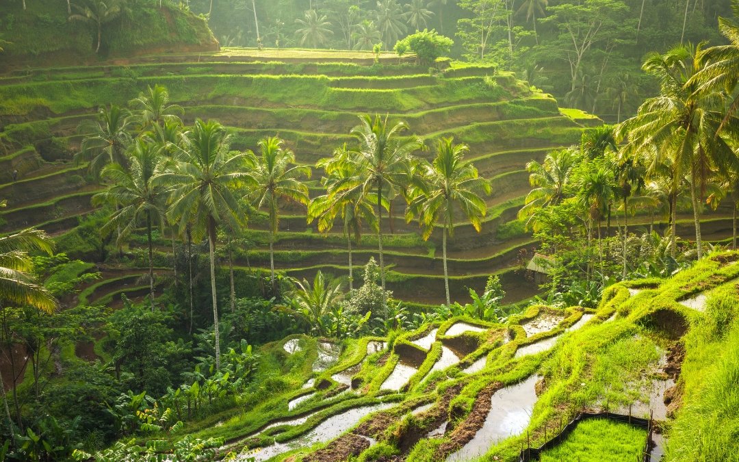 what-to-do-in-bali-for-7-days-8