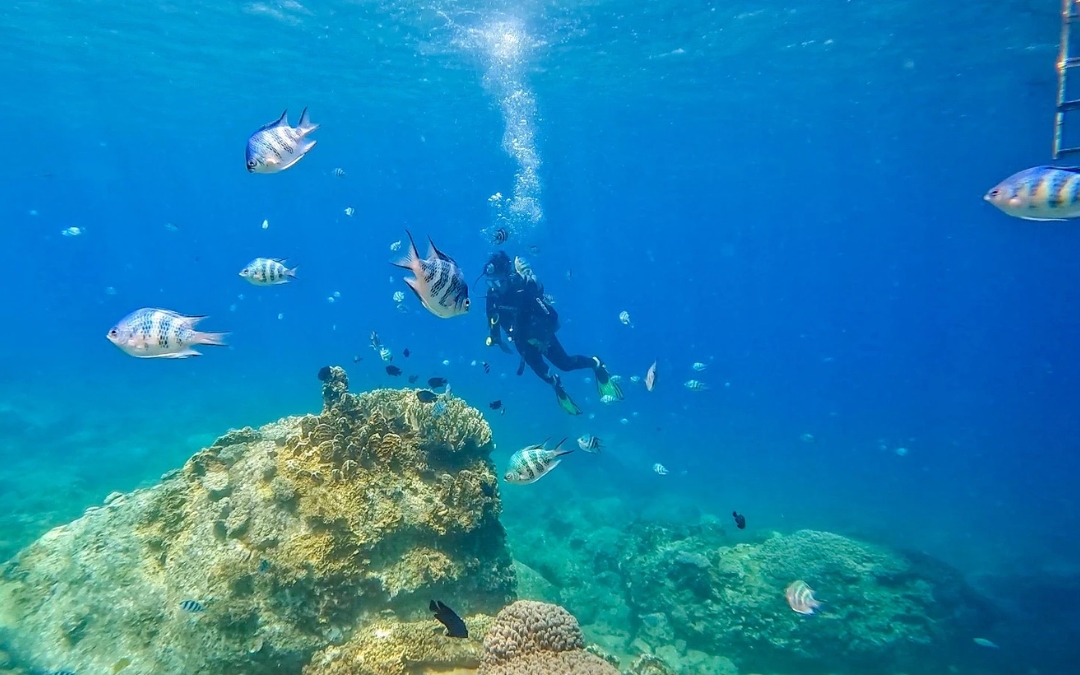 nha-trang-island-8