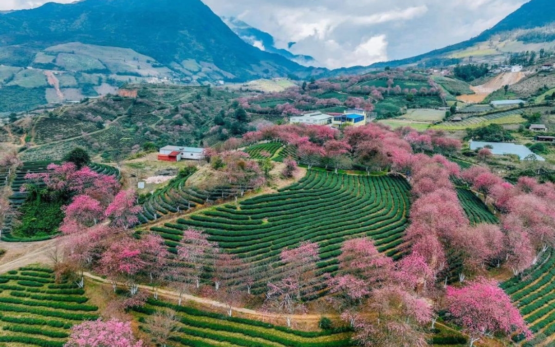 northern-vietnam-tour-2