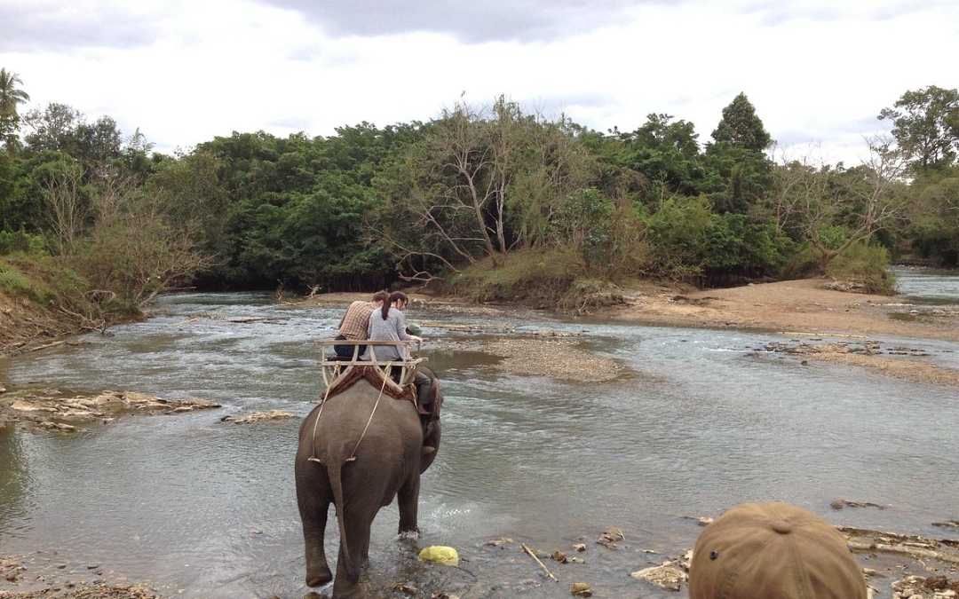 vietnam-national-park-10