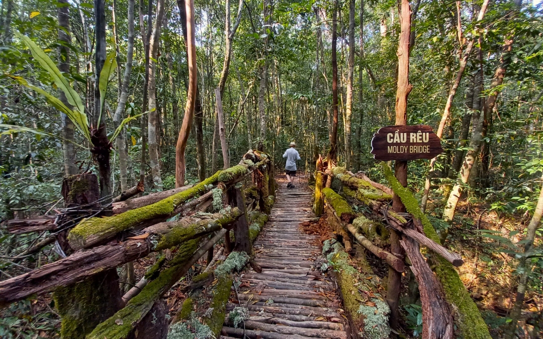 vietnam-national-park-15