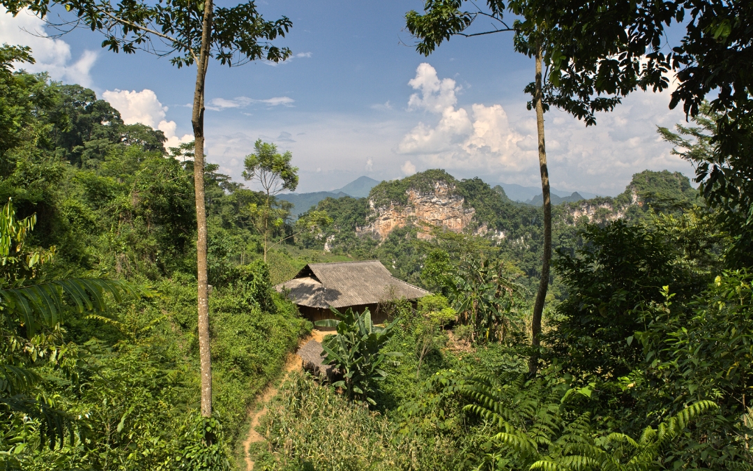 vietnam-national-park-3