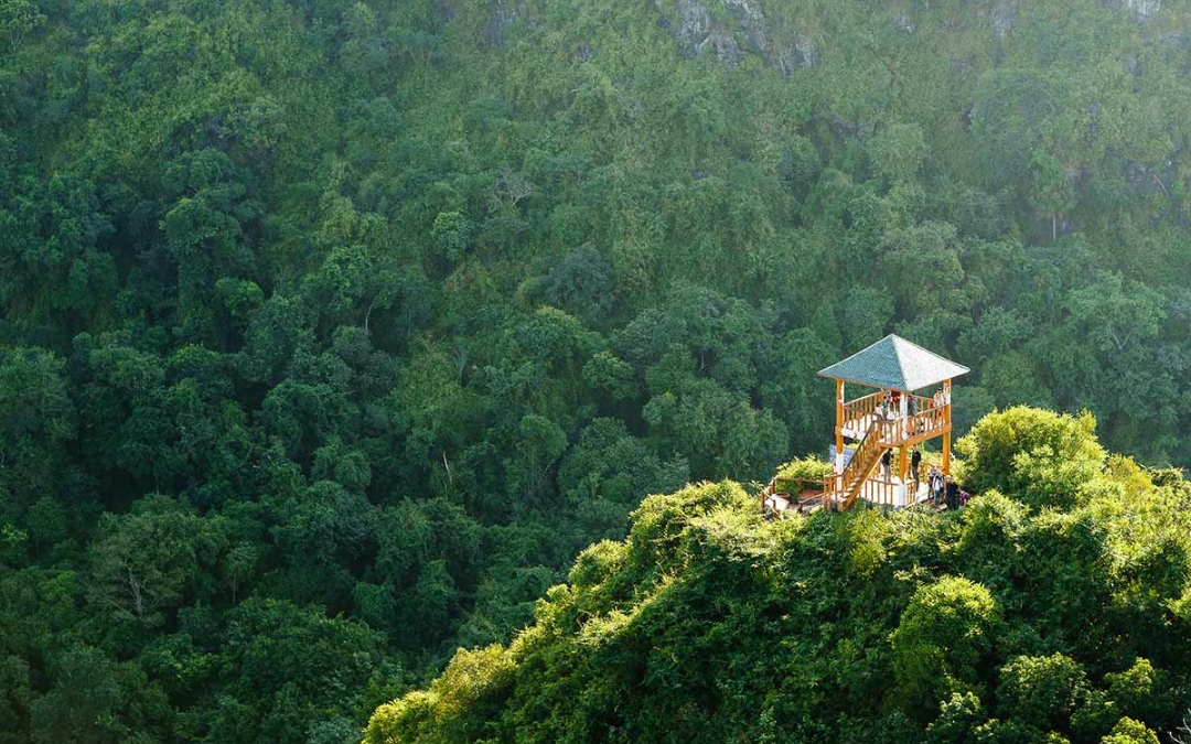 vietnam-national-park-5