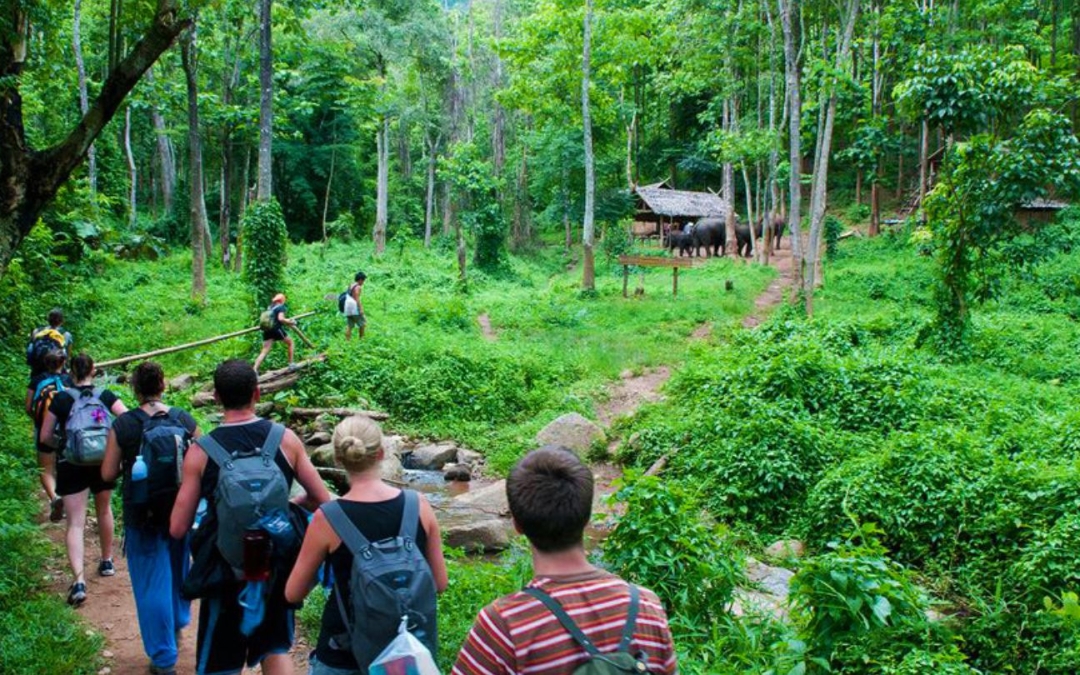 vietnam-national-park-6
