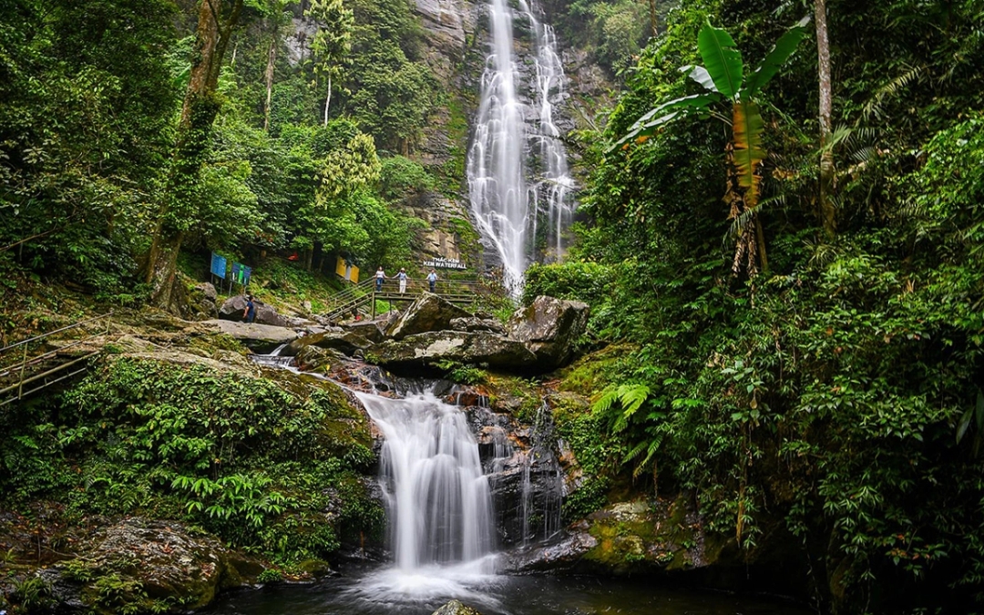 vietnam-national-park-7