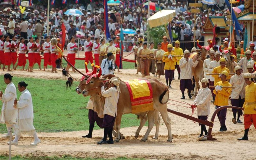 cambodia-festival-3