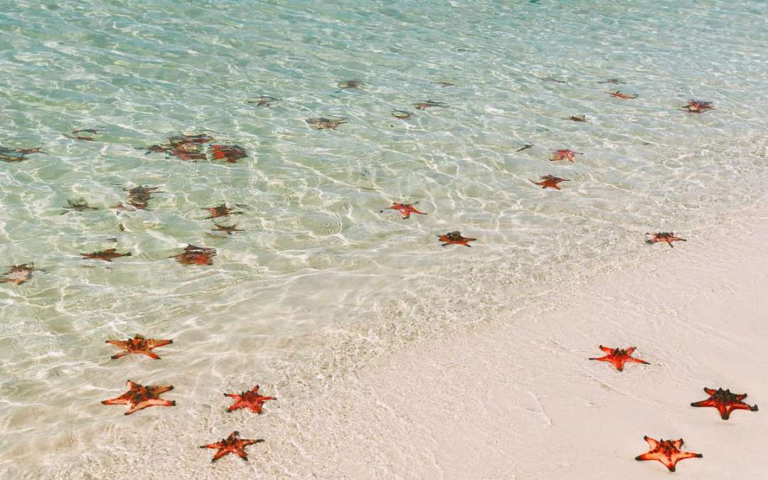 best-beach-in-phu-quoc-8