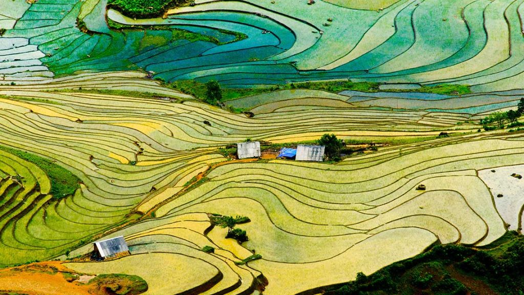 The Very Best of Vietnam