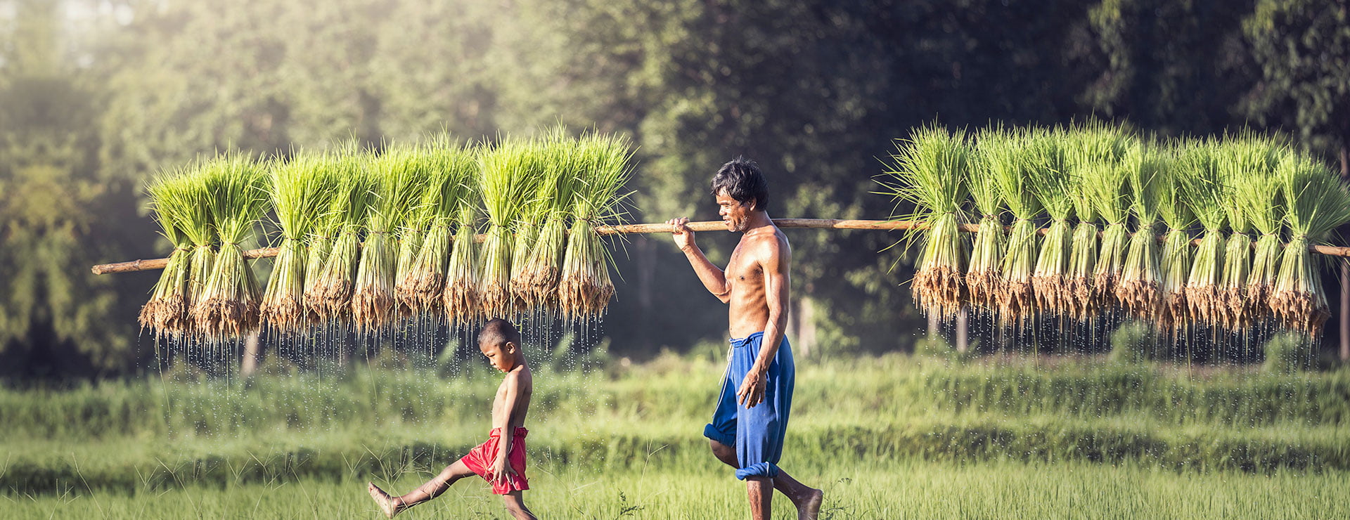 Cambodia People – Culture, Character, and Daily Life for Travelers