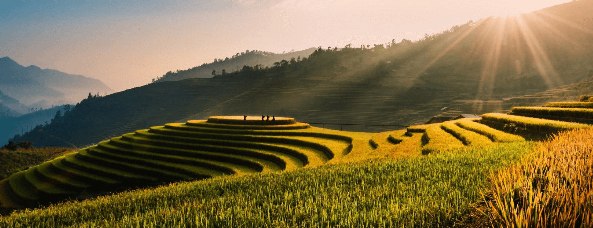 6 Majestic Rice Terraces in Vietnam: An Exclusive Journey Through Timeless Landscapes
