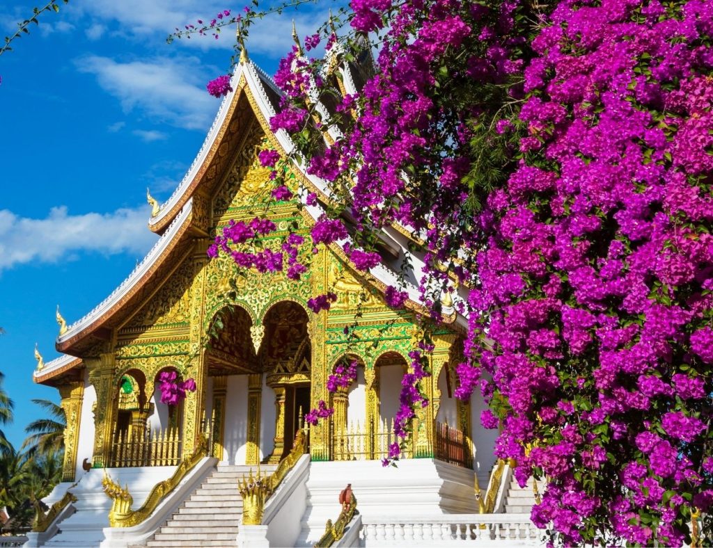 The Real Luang Prabang Tour & Southern Cruise