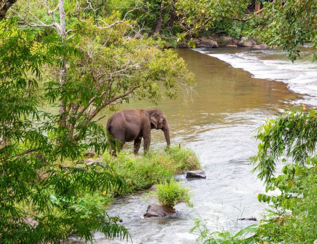 Southern Laos Holiday