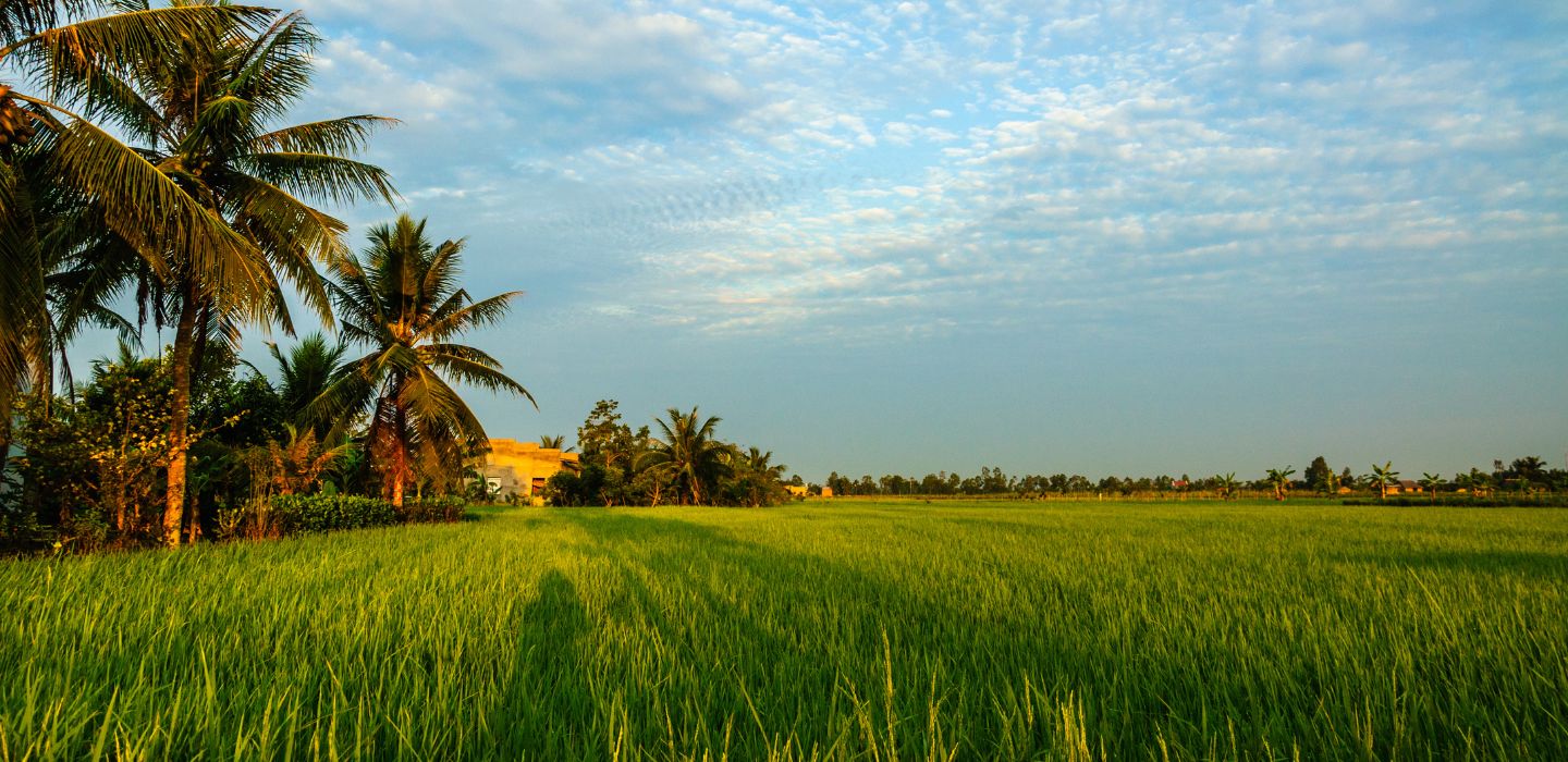 vietnam-paradise-5-ben-tre