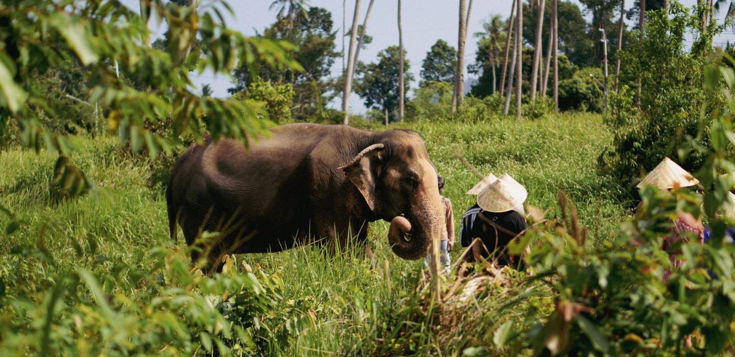 thailand-island-hopping-tour-13