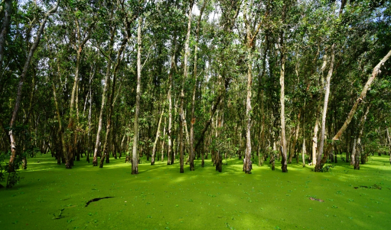 offbeat-places-in-vietnam-12