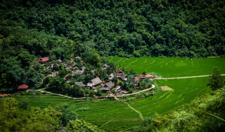 pu-luong-nature-reserve-1