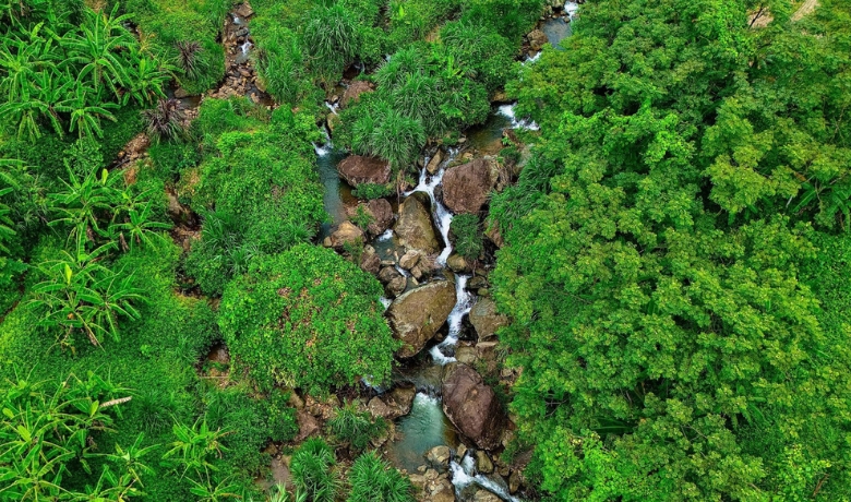 pu-luong-nature-reserve-3