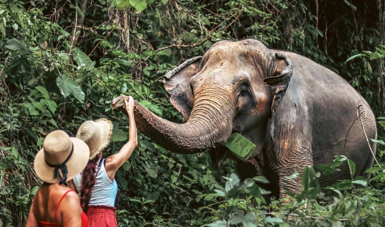 thailand-and-vietnam-itinerary-in-4-weeks-33