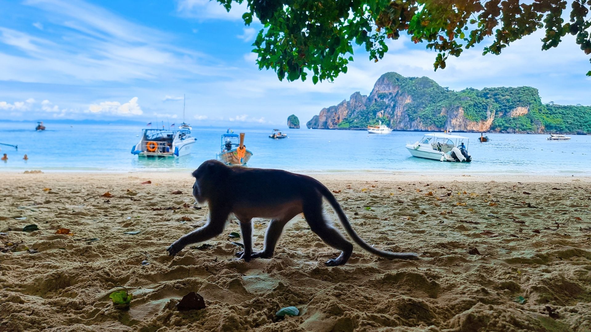 thailand-honeymoon-11-krabi-monkey-beach
