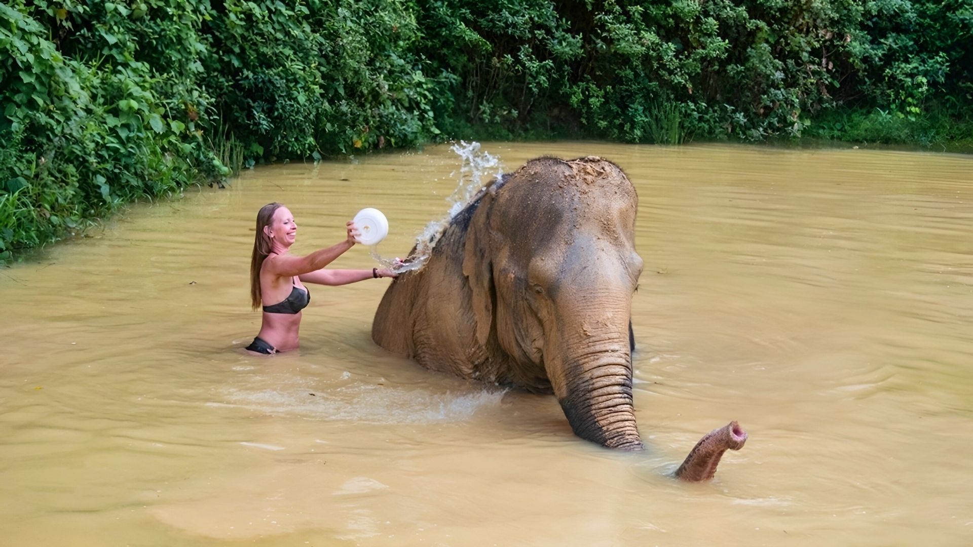 thailand-honeymoon-2-phuket-elephant-sanctuary