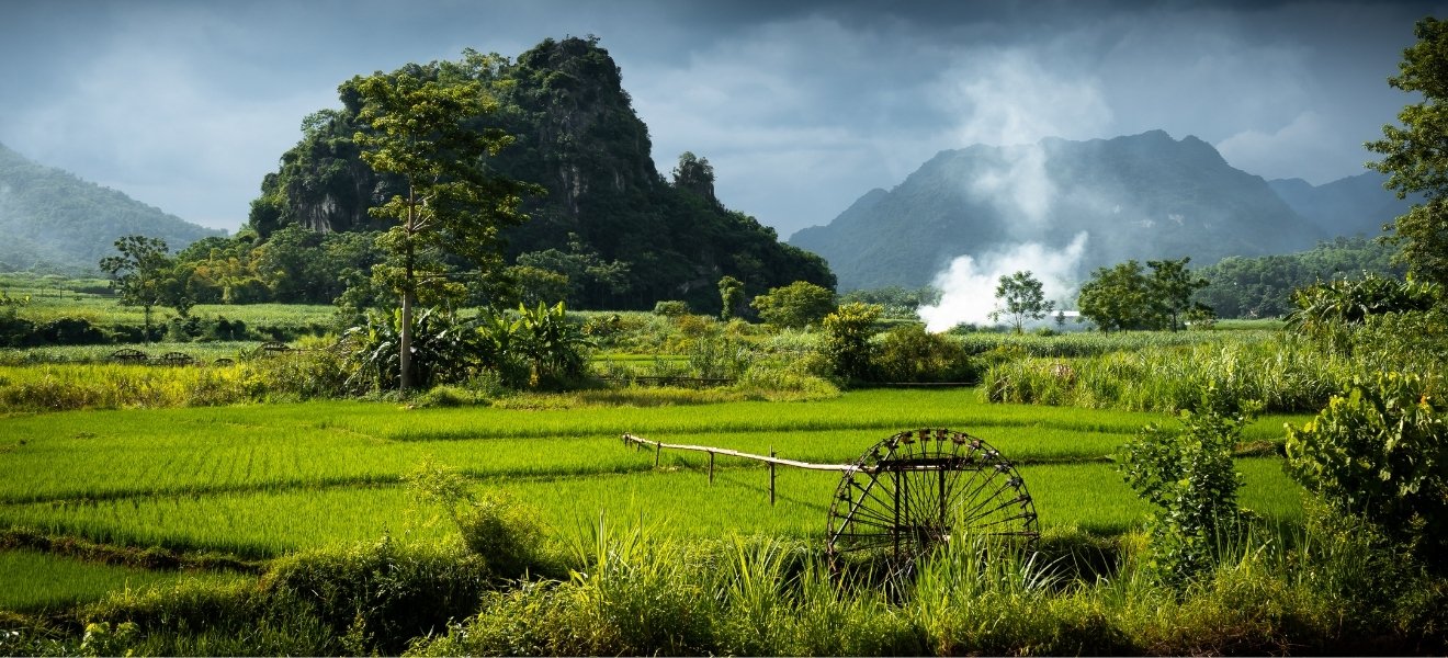 Pu Luong Nature Reserve: A Hidden Gem in Vietnam’s Natural Beauty
