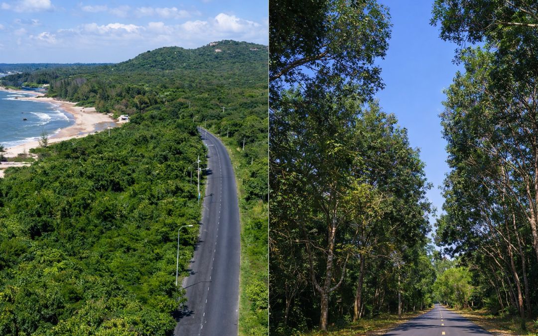 ho-tram-vietnam-binh-chau-natural-reserve