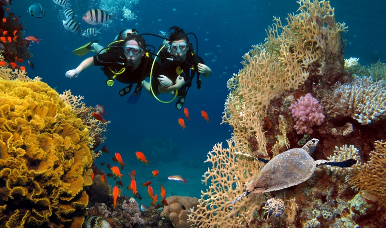 snorkeling-in-vietnam-1