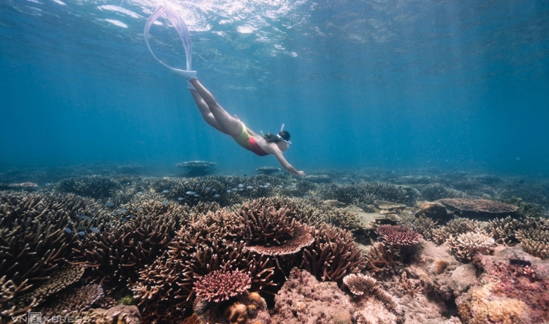 snorkeling-in-vietnam-4