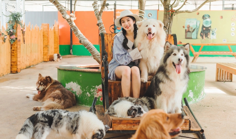 15-incredible-things-to-do-in-da-lat-vietnam-10