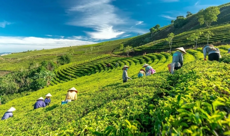 15-incredible-things-to-do-in-da-lat-vietnam-8