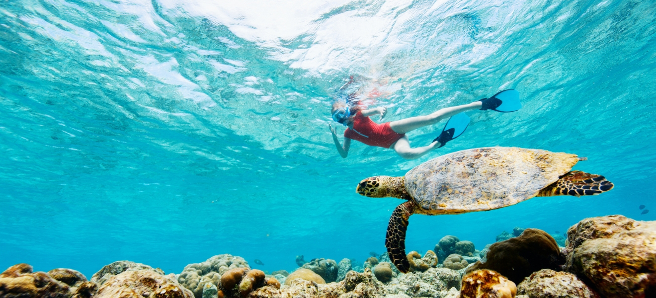 Snorkeling in Vietnam: A Complete Guide to the Best Underwater Spots